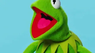 Kermit The Frog's New Friend... We Can't Get Gopher It