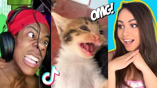 TikTok Memes That Will Keep You Laughing at 3AM 🛏️🤣🤣 | Bunnymon REACTS