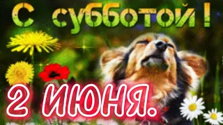 2 ИЮНЯ. Хорошей Субботы. Прекрасных Выходных.