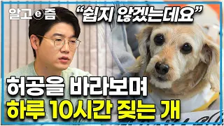 “태어날 때부터 죽을뻔했죠” 지극정성으로 보살폈지만 어느 날부터 허공을 바라보며 하루 10시간 짖는 개와 그런 반려견을 보며 눈물 흘리는 보호자들┃세상에 나쁜 개는 없다┃알고e즘