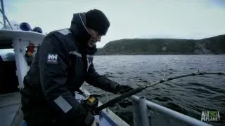 Legend of Loch Ness - How to Catch a Greenland Shark | River Monsters