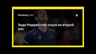 Энди маррей стал отцом во второй раз