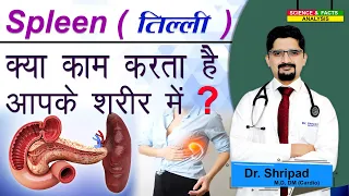 Spleen क्या काम करता है आपके शरीर में ? || What does spleen do in your body?