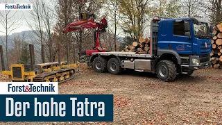 Tatra Phoenix im Holztransport: Der hohe Tatra