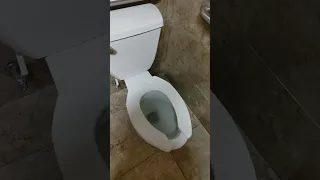 Vitra Toilet at Mexican Restaurant