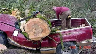 Dangerous Tree Cutting Skill Fails, Idiots Worker With Chainsaw Compilation