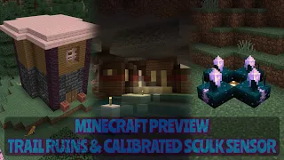 Exploring Trail Ruins & Calibrated Sculk Sensors Preview (MINECRAFT Gameplay)