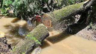 There is no way out but the river... Cut down 2 trees by the river.