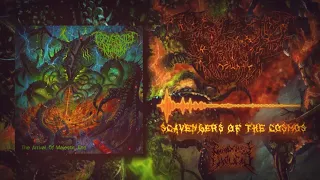 PERVERSITY DENIED - SCAVENGERS OF THE COSMOS [OFFICIAL VISUALIZER] (2022) SW EXCLUSIVE