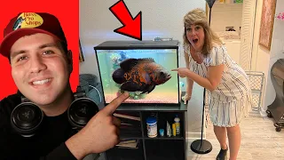 SURPRISING Mom with her DREAM FISH TANK!