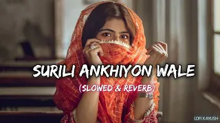 Surili Akhiyon Wali ( Slowed + Reverb ) | Rahat Fatah Ali Khan | Lofi X Ayush