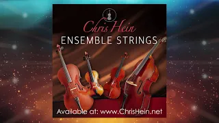 How to  - Use Legato & Portamento in Chris Hein - Ensemble Strings