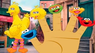 SESAME STREET Cartoon Finger Family Songs- Nursery Rhymes