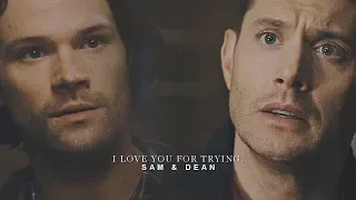 sam & dean || I love you for trying.