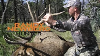 Hunting New Mexico Archery Elk with Randy Newberg (OYOA S1 E2)