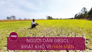 Người dân ĐBSCL khát khô vì hạn mặn | VTC Now