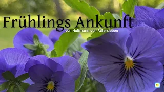 Frühlings Ankunft - Gedicht von Hoffmann von Fallersleben