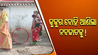 Newborn baby found dead in Bolangir street