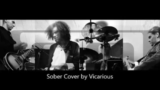 Sober Tool Cover by Vicarious