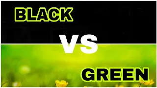 Black vs Green / bag / makeup / Sandal @GS you and me