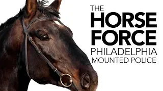 The Philadelphia Mounted Police  | 6abc Discovery