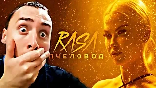 RASA - ПЧЕЛОВОД | РЕАКЦИЯ