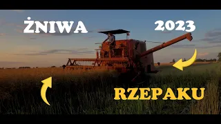 ☆ŻNIWA2023☆GR IWANEK☆MF255 & URSUS1224☆OGIEŃ Z RURY!!!☆