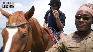 The Healing Power of Horses in Tobago