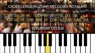 Caddelerde Rüzgar Nota ve Melodika İle Çalınışı