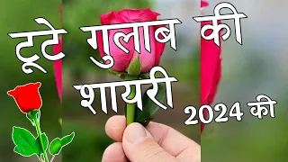 टूटे गुलाब की शायरी 2024 🌹Tute Gulab Ki Shayari 🌹 Gulab Shayari