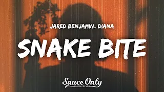 Jared Benjamin, Diana - Snake Bite (Lyrics)