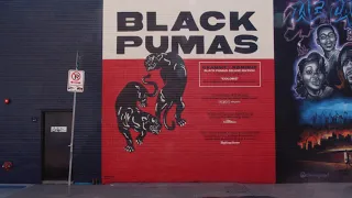Black Pumas - "I'm Ready" (Timelapse Mural Video)