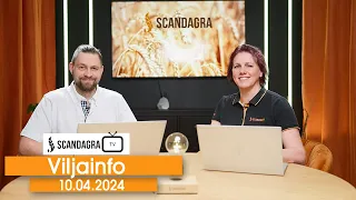 Scandagra VILJAINFO 10.04.2024