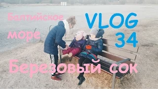 VLOG Березовый сок и холодное Балтийское море Серия 34 Черновы ТВ