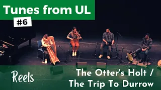 Tunes From UL #6 | The Otter's Holt, The Trip To Durrow (Reels) 🎶☘️