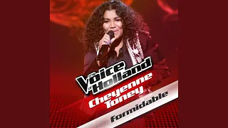 Formidable (from The voice of Holland)