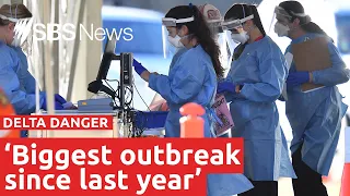 Queensland Delta variant cases rising in 'biggest outbreak' | SBS News