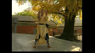 Shaolin Ba Duan Jin 少林八段錦