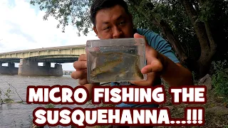 MICROFISHING the SUSQUEHANNA RIVER...!!! [OLDIE, BUT A GOODIE]