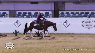 Color Me Marked 2022 APHA World - Am Ranch Trail