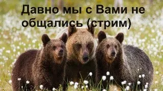 Давно мы с Вами не общались (стрим)