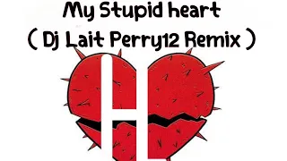 Walk Off the Earth - My Stupid Heart - kid Version ( Dj Lait Perry12 Remix ) [ lyrics official ]