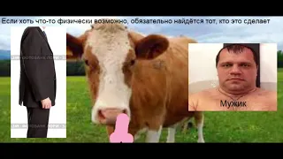 Фото, где Мужик суёт Член в ноздрю Корове ТРЕДШОТ