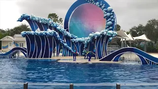 Sea world dolphin Days