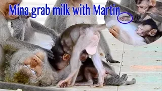 Try Not To laugh So Funny Baby Mina Try To Grab Milk Of Baby Martin During Martin Has A Big Dreaming