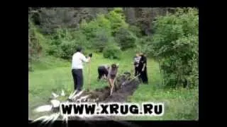 Начало проекта "Юрал-Хрюг" Хрюг - колыбель моя