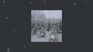 christmas tree farm (sped up)