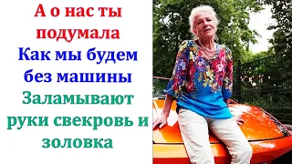 Ну чего добру простаивать. Машину в оборот взяли свекровь и золовка. Ездили они в своё удовольствие.