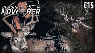 Bowhunter Tags Second Buck On Third Hunt Ever, Hunting Bucks In The Snow #hunting #deerhunting