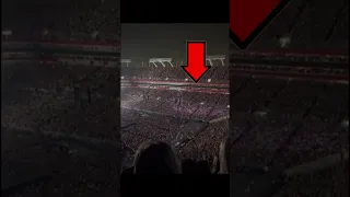 WATCH This GIANT Snake In The Crowd At Taylor's Eras Show